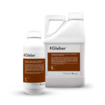 Gleber