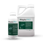 Hepta PRO