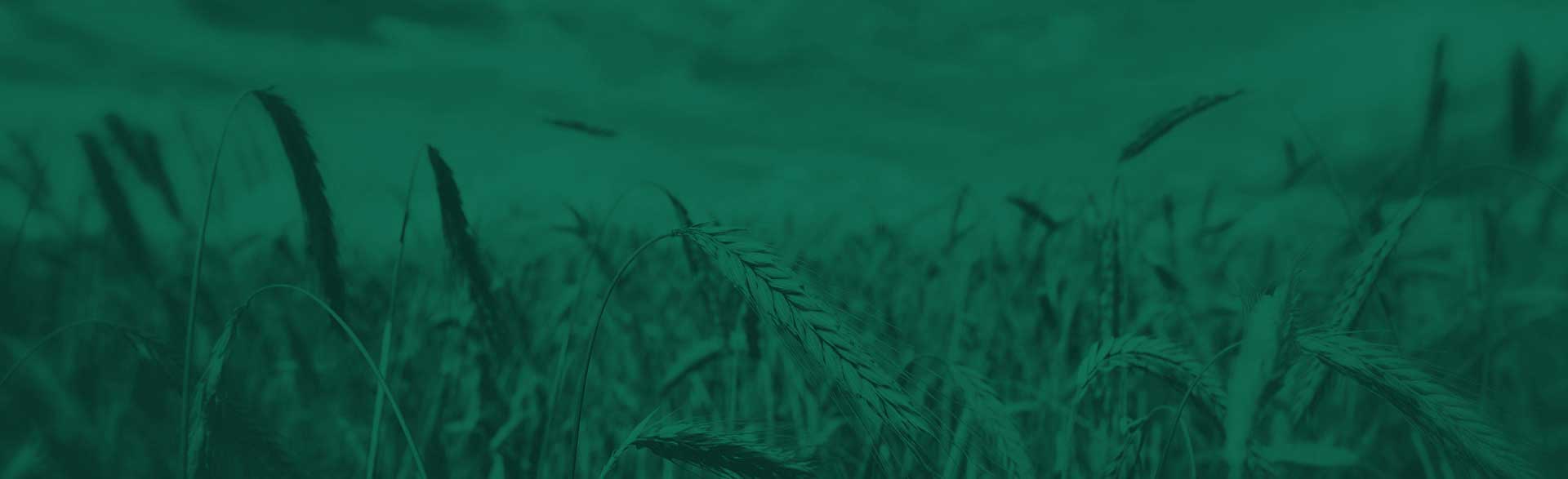 smp agro title
