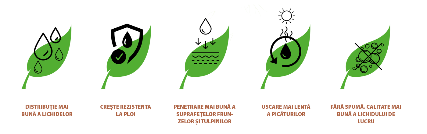 Avantajele îngrășămintelor care conțin terpenoide